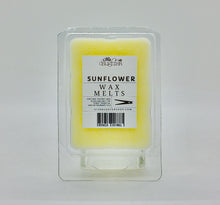Natural Coconut Wax Melts
