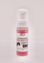 Foaming Hand Cleanser