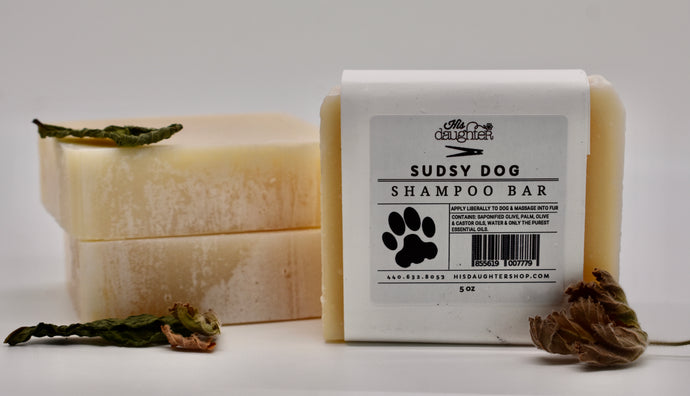 Sudsy Dog Shampoo Bar